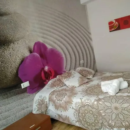 Zen House