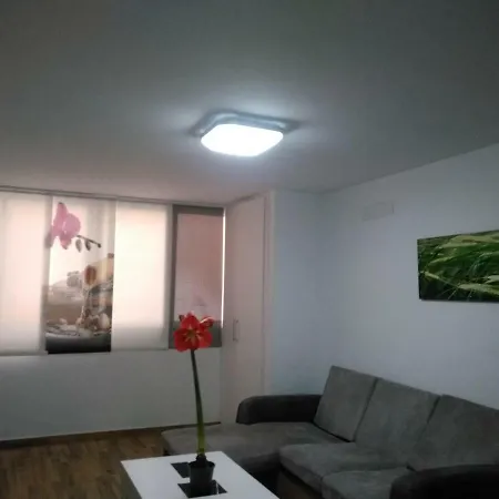 Zen House * Valencia