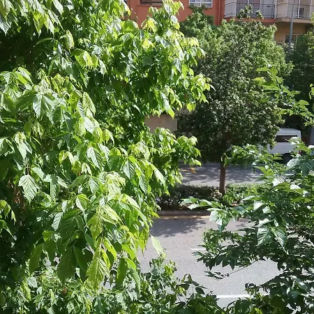 New Trendy Apartment