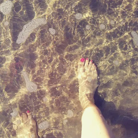 Mi Casa Your Apartment *