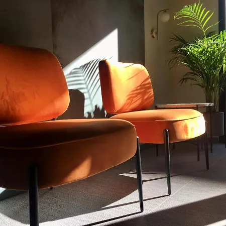 Hotel Md Modern - Jardines Valenza