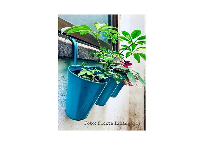 Oda ve Kahvaltı Propia 2*