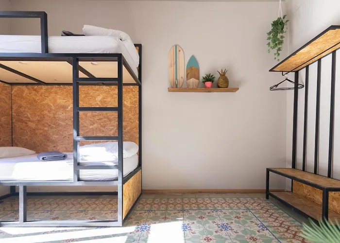 Bird House فالنسيا