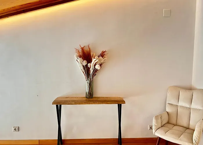 Apartment Luxury Penthouse Center Valencia