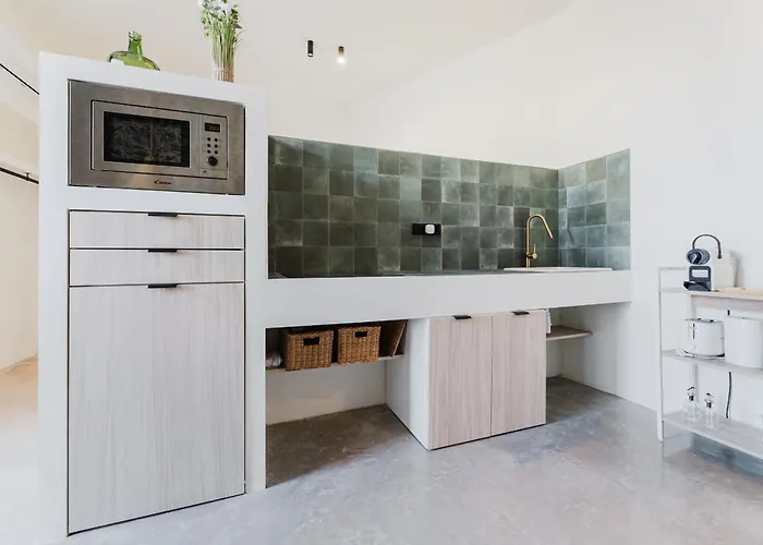 Appartement Loft Vinas *