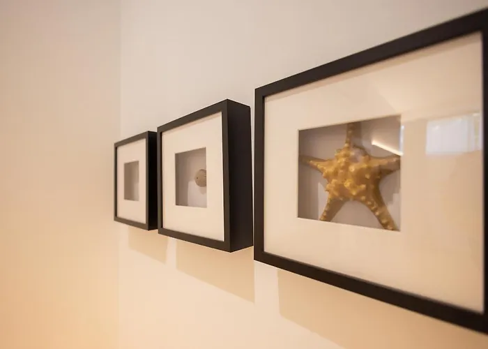 Florit Flats - The Pitiusas