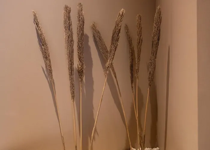 Abastos By Concept Flats 아파트