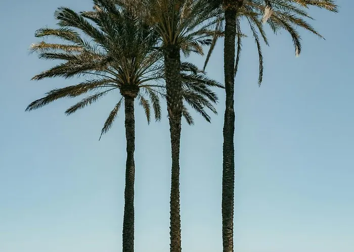 Διαμέρισμα Travel Habitat Playa Del Cabanyal *