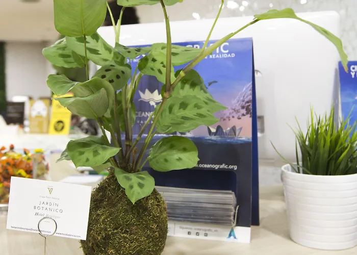 & Co. J. Botanico Boutique Ξενοδοχείο Βαλένθια