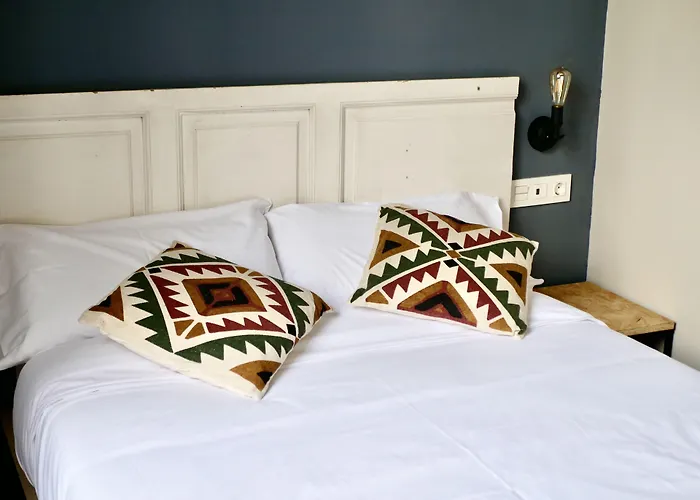 Bird House فالنسيا