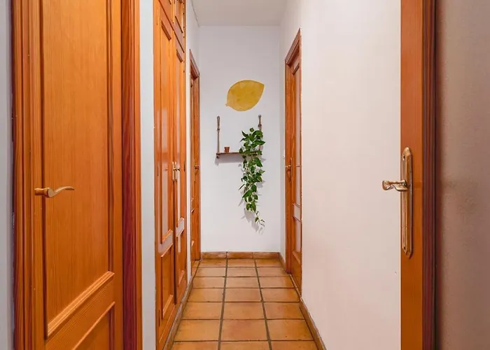 Invalencia Musico 2 Turia Gardens *