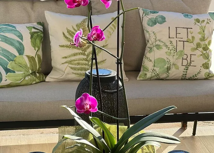 Lägenhet Bright Spacious Luxury