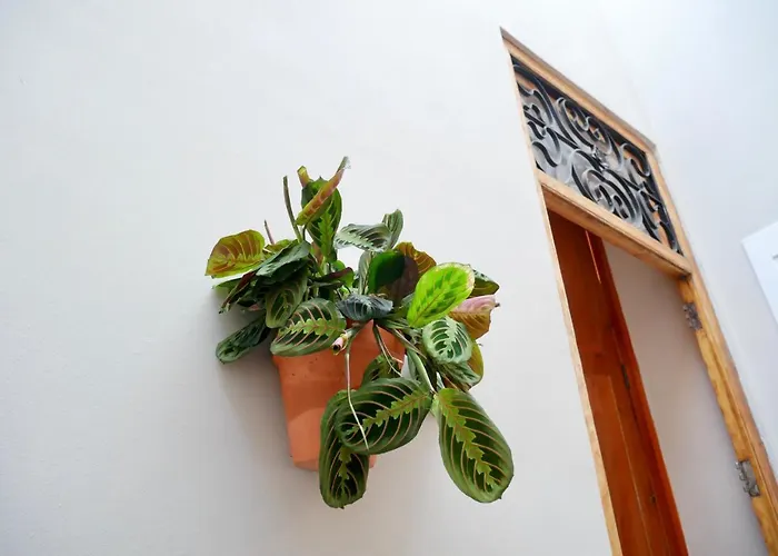 Bird House 3* فالنسيا