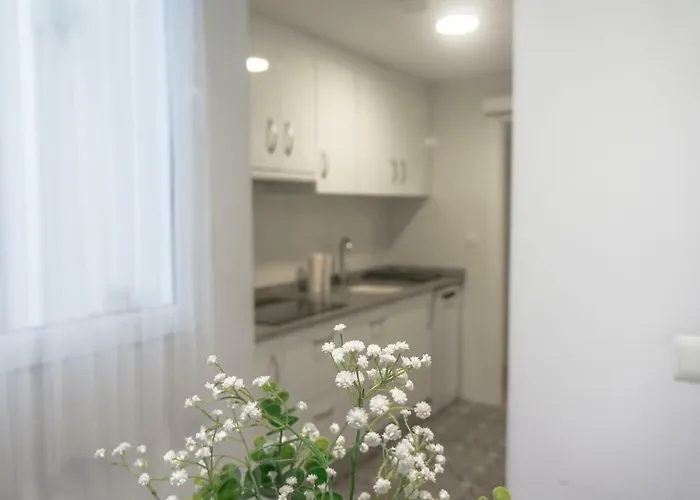 Ttdssa Vlc Plaza Cisneros شقة