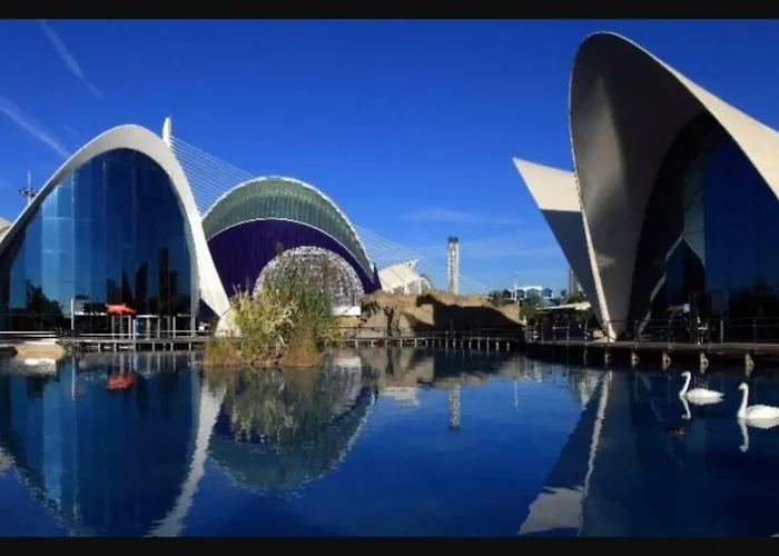 En Universidad Y Cerca De La Playa Valencia