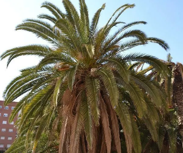 Malvarrosa, Cabanal, Wifi Free. Ca' Micaela. 아파트 발렌시아