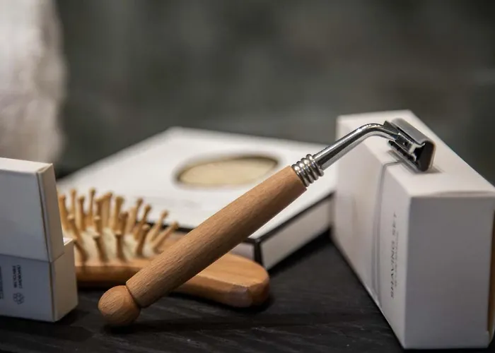 Hotel Palacio Vallier 5* 5*