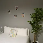 Apartment Intimo Y Acogedor 