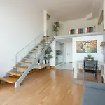 Duplex Loft Apartamento Con Parking Gratis *