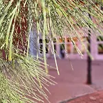 דירה Lounge Garden Sea Relax ולנסיה