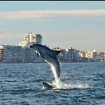 Adosado En La Playa De El Perellonet Con Piscina, Pista Tenis *