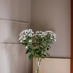 La Novieta Boutique - Adults Only Hotel Valencie