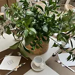 Zenit Hotel Walencja