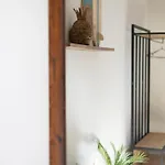 B&B Bird House