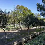Apartup Turia River Park
