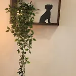 Lejlighed Loft Con Encanto *