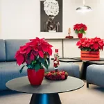 Dorm4you Arena 2 Valensiya