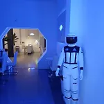 Capsule