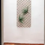 Vlc Host - Alfaro A Apartamento