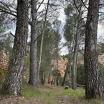 Penzion Paraiso Natural Unico -villa Cueva Turche Valencie