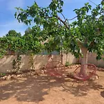 Buganvilla * فالنسيا