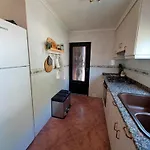Buganvilla فالنسيا
