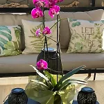 Apartment Bright Spacious Luxury