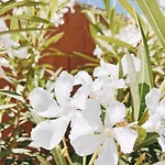 Mom La Punta 招待所 3*