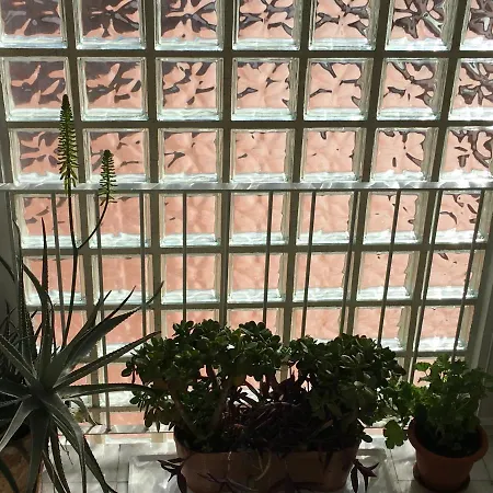 Mi Casa Your Appartamento *