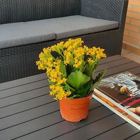 Appartement Luxury Duplex City Center *