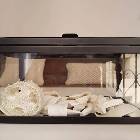 Cosy At The Cathedral With Wifi Appartement Valencia