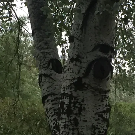 Mi Casa Your * Valenza