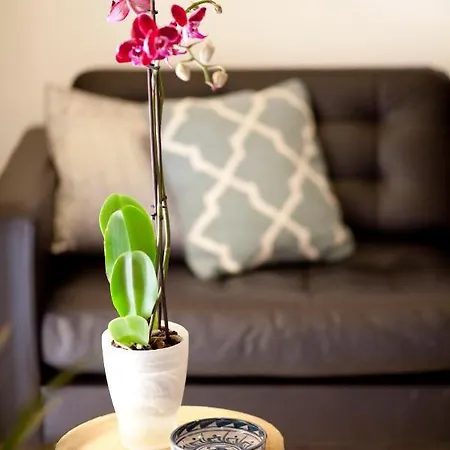 公寓 Authentic Charming Apartment/wifi/air Conditioning *