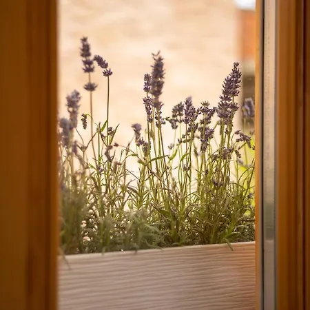 Design Loft Near The Sea *