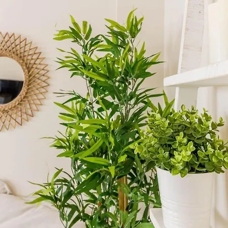 Lägenhet Gran Via By District Key *