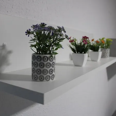 Villashinojosa Luxury Poesia ולנסיה