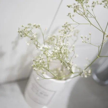 Singularstays Parque * Valencia