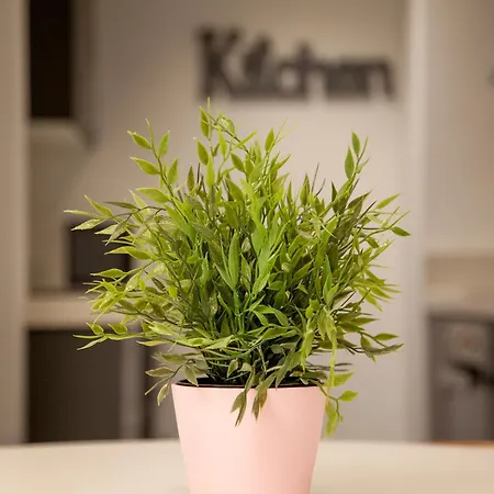 Flats Friends Soho Suites Apartment Valencia