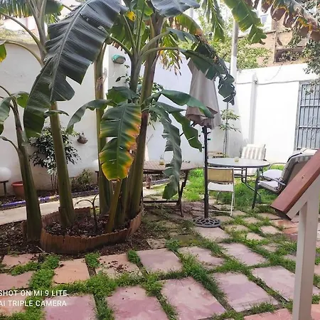 Apartment Ruzafa Terrace Oasis: Cozy A/c With Garden Access Valencia