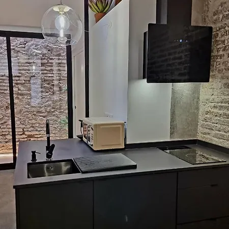 Cactus Loft Ruzafa